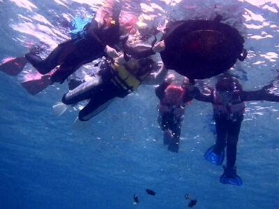 �X��p�|�C���g�ł̃V���m�[�P�����O