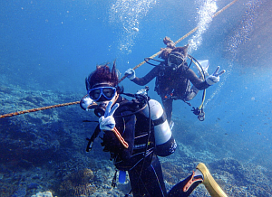 体験ダイビングの写真