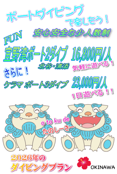 2025年、夏の格安キャンペーン。宜野湾ボート2ダイブ1人16,800円。さらにケラマボート3ダイブ23,000円/1人。格安ファンダイビング。宜野湾、北谷、浦添、慶良間、万座など。