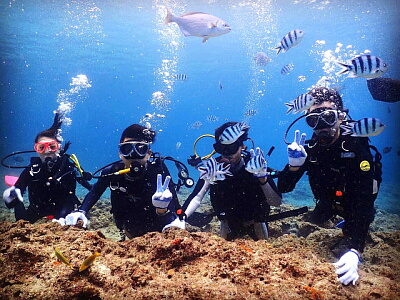 �X��p�|�C���g�ł̑̌��_�C�r���O