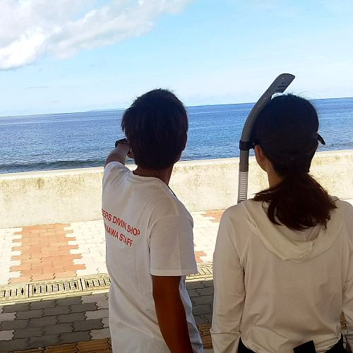 �I�[�v���E�H�[�^�[�_�C�o�[�u�K�̊C���̐����̎ʐ^