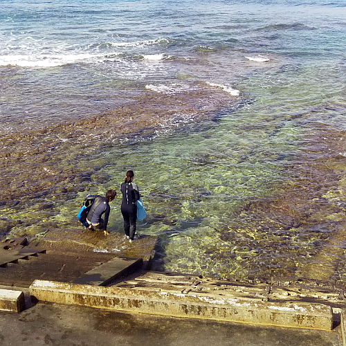 �V���m�[�P�����O�̂��߂̃t�B���𗚂��w���̎ʐ^