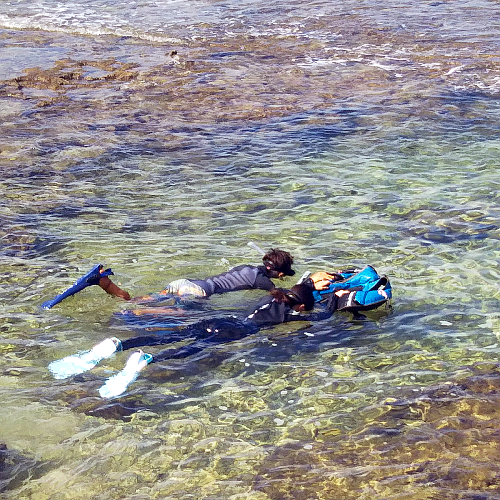 BCD�𕂂��֑���ɂ��ăV���m�[�P�����O���s���Ă���ʐ^