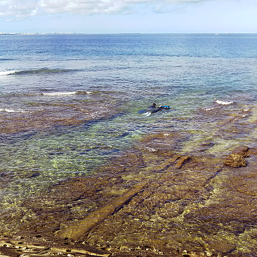 �V���m�[�P�����O�ł̎����̃R�c�������Ă���ʐ^