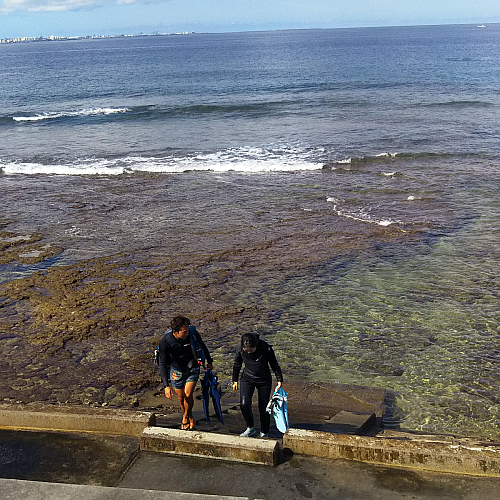 �V���m�[�P�����O���I���ĊK�i�����ʐ^