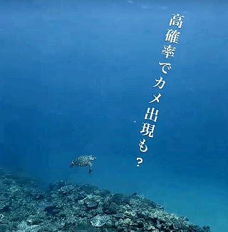 �X��p�̃{�[�g�|�C���g�ŊC���߂̎ʐ^