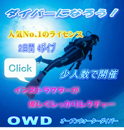 OWD _Co[ɂȂ낤I