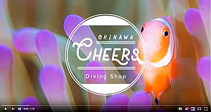 �`�A�[�X�̃V���m�[�P�����O�Ƒ̌��_�C�r���O����