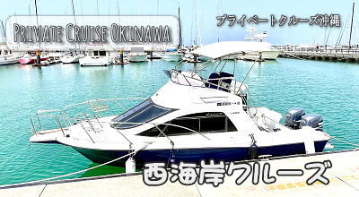 ����̐��C�݂̊C��ݐ؃{�[�g�Ŋi���N���[�W���O