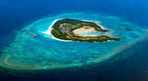 ���[���̏��ʐ^