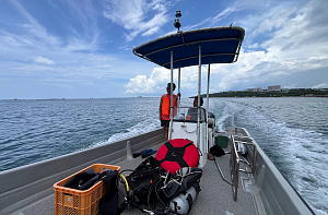 �D�ŏo�q���Ă���ʐ^