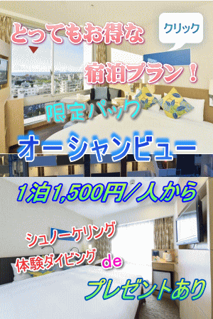 沖縄のダイビングでの宿泊パック、格安ツアーの紹介。おすすめの提携ホテルに宿泊してダイビングを楽しめます。